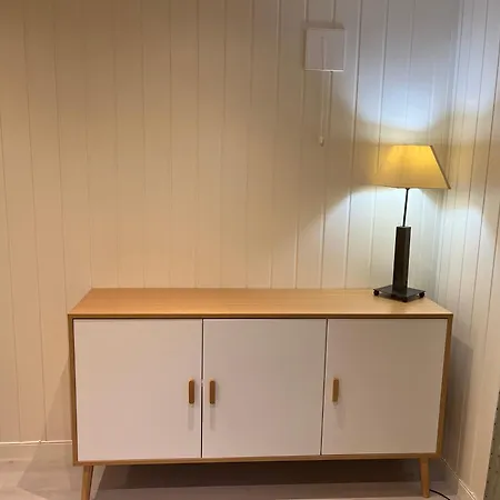 Telemark - Brevik 3- Bedroom 2 Bath * פורסגרון